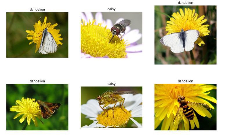 Fastai — Image Similarity Search — Pytorch Hooks & Spotify’s Annoy