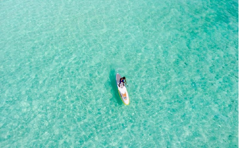 日本語の例文（example sentences）