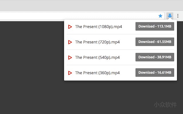 Video Downloader professional - 网页视频下载工具 [Chrome] - 小众软件