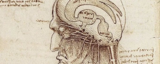 像达芬奇一样思考