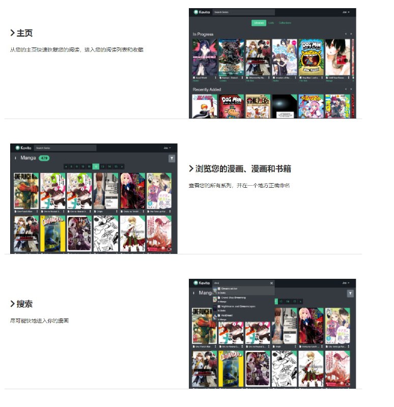 Kavita – 自托管数字 #图书馆 ，支持多种文件格式Kavita – 自托管数字 #图书馆 ，支持多种文件格式