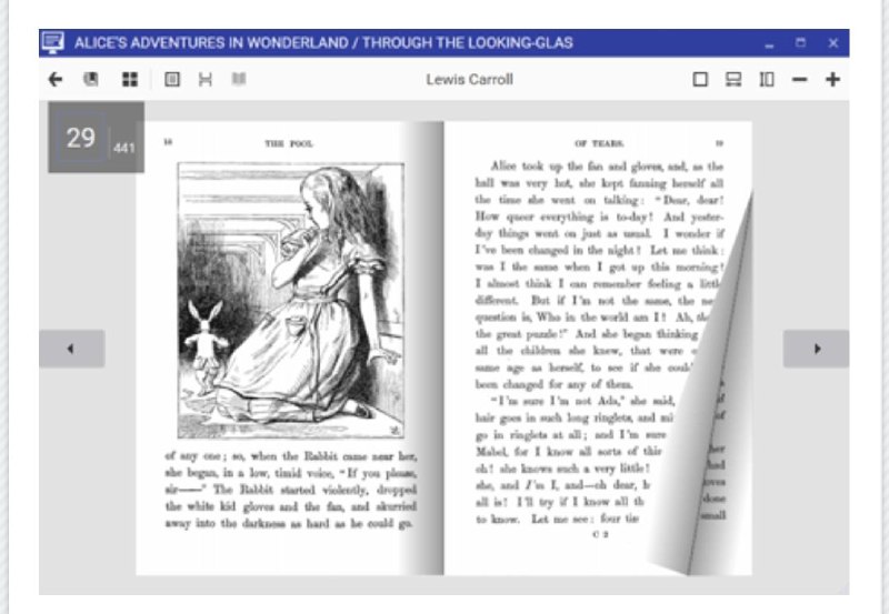 AlfaReader 是一款轻量的电子书阅读 #软件 ，支持多种不同的电子书格式，包括 PDF, EPUB, MOBI, FB2, CBZ, DJVU 和 TXT，还支持 MP3 格式，可以让你进行听书功能