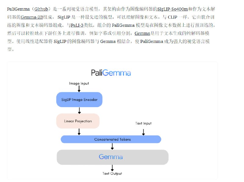 PaliGemma