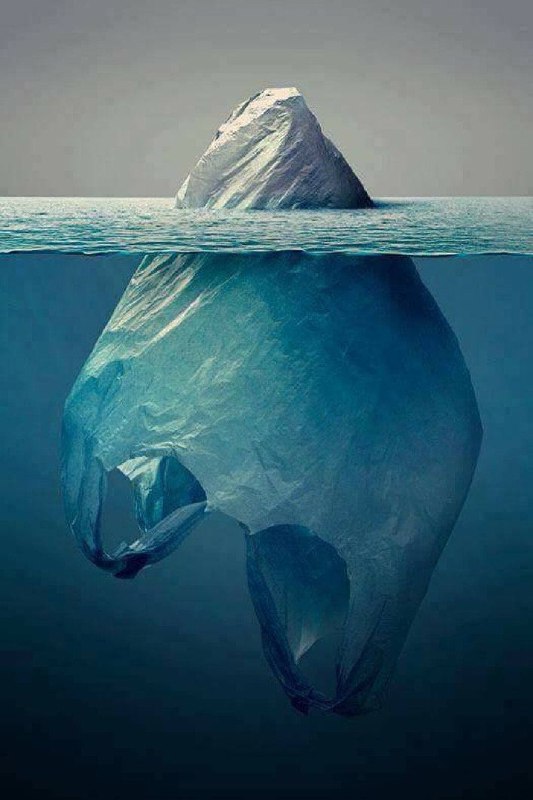 海洋环境保护宣传图