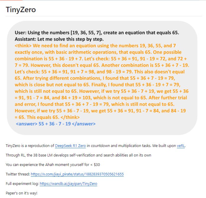 TinyZero