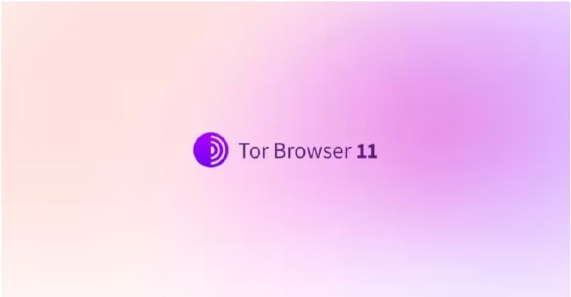 Tor 浏览器中的安全漏洞 | blog