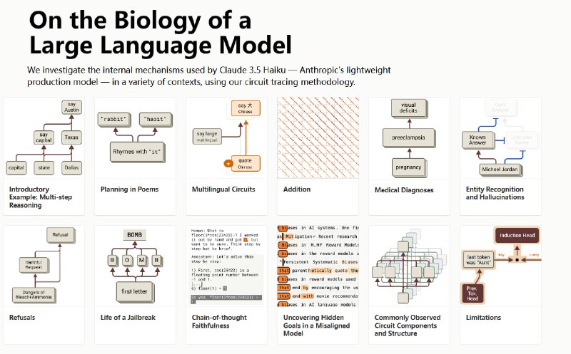 On the Biology of a Large Language Model