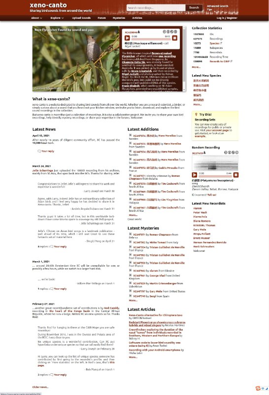 XenoCanto 一个致力于世界各地的野生鸟类声音录制的站点，由Bob Planque 和 Willem-Pier Vellinga 创办