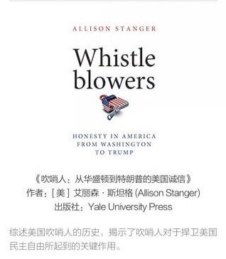 吹哨人 英文原版《Whistleblowers》#电子书磁力链 magnet
