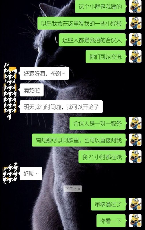 上午刚入的合伙人，挺爽块上午刚入的合伙人，挺爽块