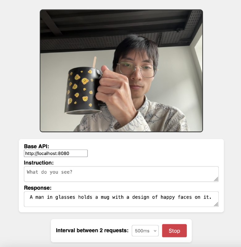 SmolVLM-realtime-webcam