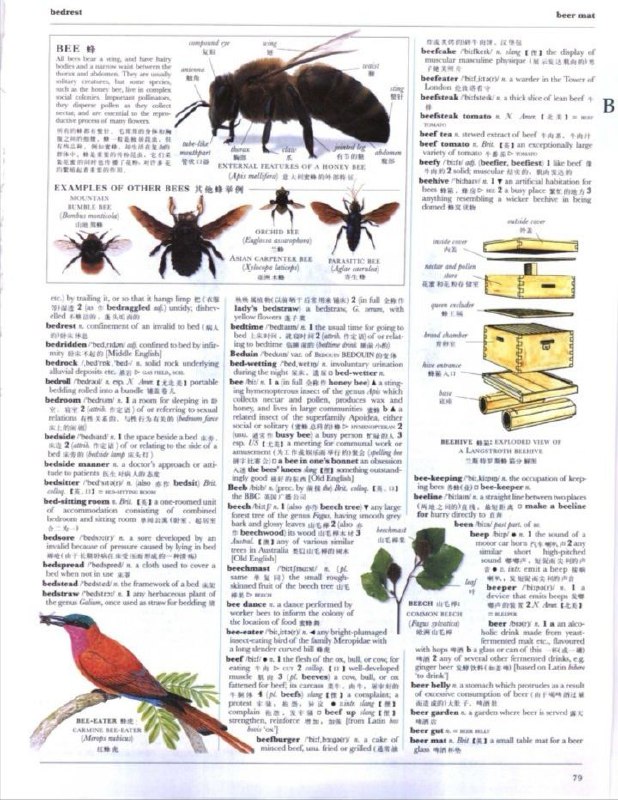 牛津英汉双解大词典(插图版) 8u0x #工具 #英语 #词典 #电子书 牛津英汉双解大词典(插图版) 8u0x #工具 #英语 #词典 #电子书 