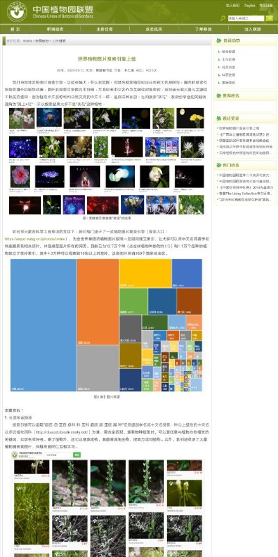 搜植物图片 时经常遇到某度搜不到、某哥不能访问的情况，为此中国植物园联盟专门设计了一款植物图片 #搜索引擎 ，目前可以搜索到12万种以上的植物，与目标植物名相关的任意关键词均可快速搜到结果 入口