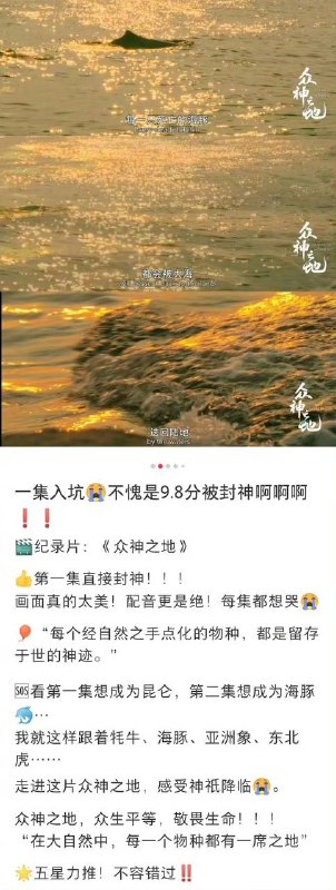 #纪录片 推荐#纪录片 推荐