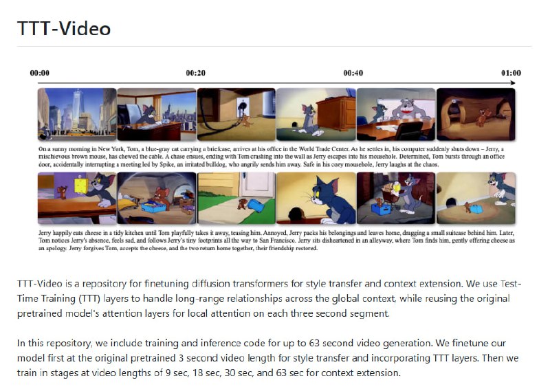 TTT-Video-DIT