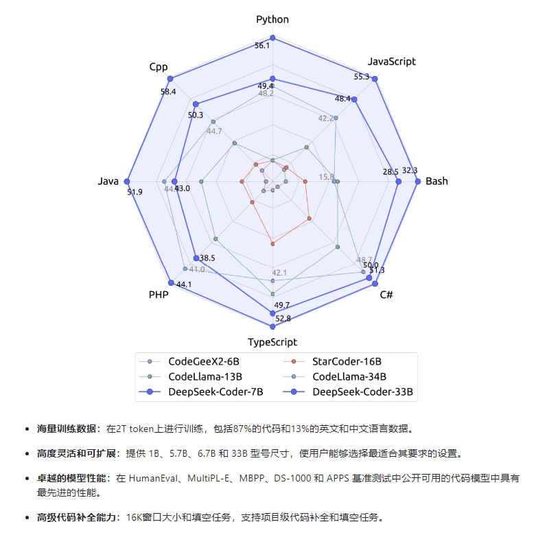 DeepSeek Coder