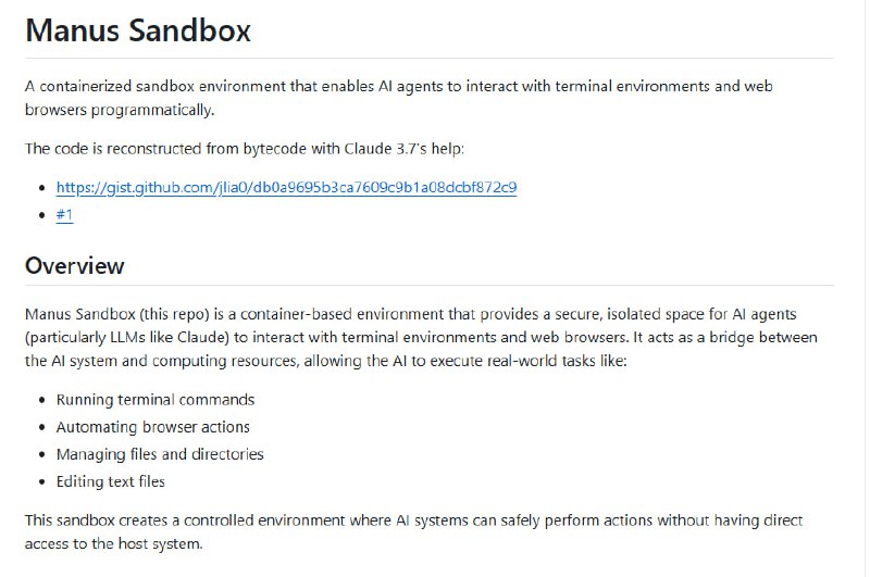 Manus Sandbox