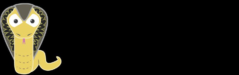Coral Preamble #Go语言 #命令行 应用开发库